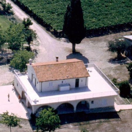 Agriturismo Torre Mannella - La Loggia Citta Sant'Angelo Ngoại thất bức ảnh