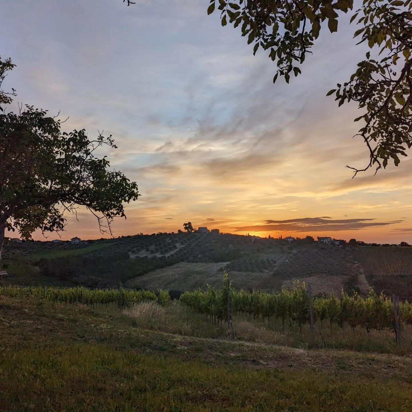 Agriturismo Torre Mannella - La Loggia Citta Sant'Angelo Ngoại thất bức ảnh